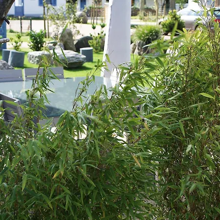 Traum Reethaus Am &ndash Mit Pool, Sauna & Yoga